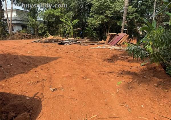 12 Cent House Plot for Sale near Panamkavu Junction