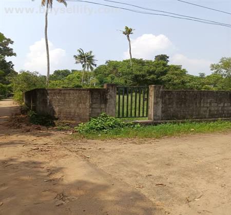 12 Cent Original Land for Sale in Udayamperur, Tripunithura
