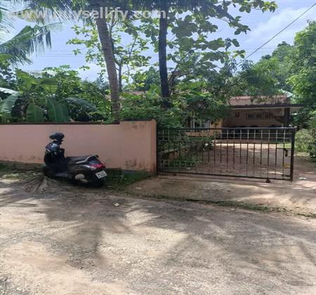 3BHK House with 8-Cent Plot for Sale in Kothakulangara, Angamaly – Just 1 Min from NH 544