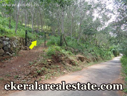 Amboori land for sale