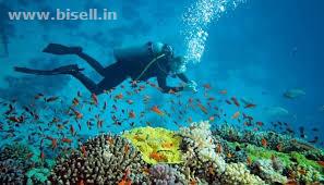 •	Andaman Short Tour Package