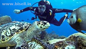 Andaman Summer Special With Under Water Safari