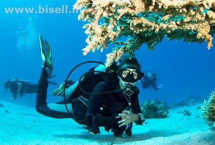 Andman Honeymoon Holidays Packages 4Nights 5 Days