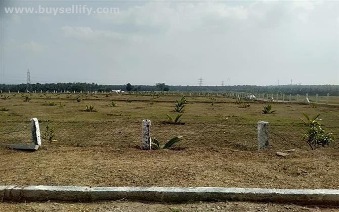 BEAUTIFUL PALM LAND FOR SALE IN COIMBATORE