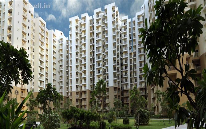 Book Ready To Move Flats In Paramount Emotions At Noida9250002243