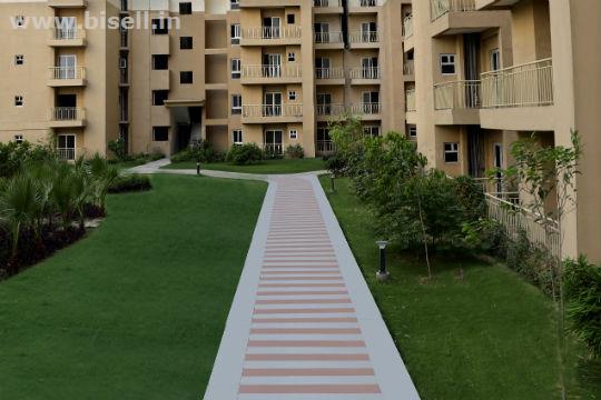 Book Ready To Move Flats In Paramount Emotions At Noida9250002243