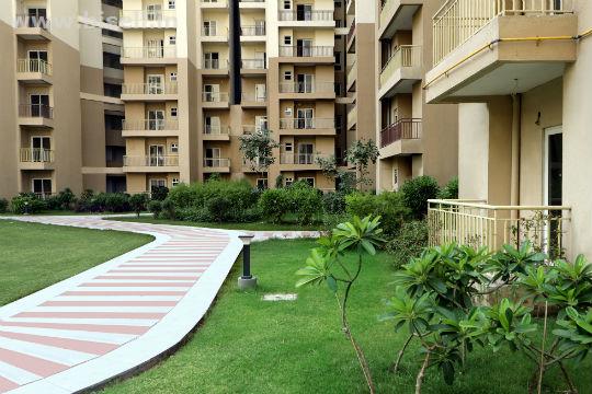 Book Ready To Move Flats In Paramount Emotions At Noida9250002243