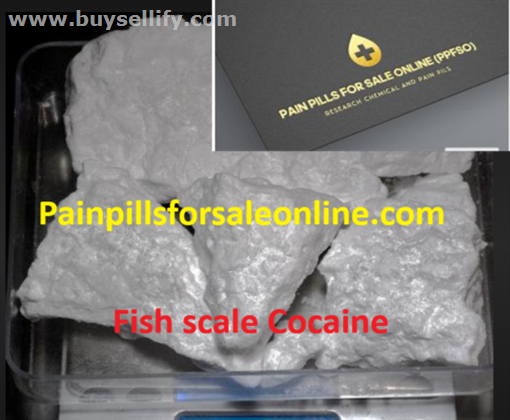 Buy Fish scale Cocaine – Cocaine – Painpillsforsaleonline.com
