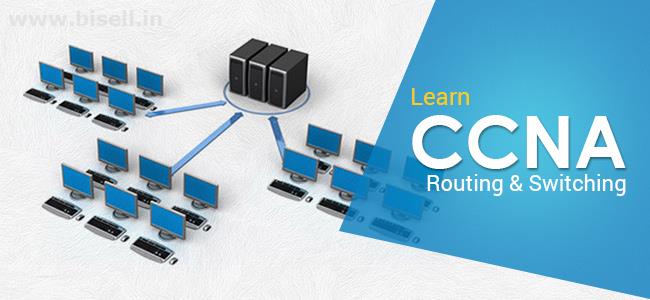 CCNA Training in Delhi - Participate in Online Classes now at Netlabs ITS