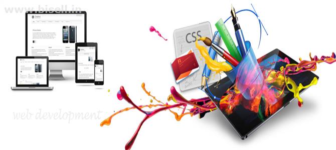 Codepiller It Services - Get affordable Software Design & Development Solutions