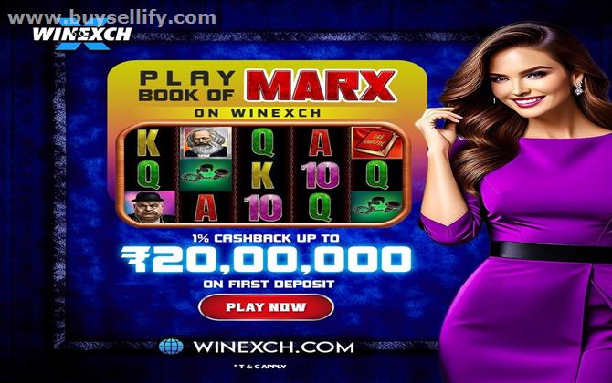 Daily Sports Coverage with Winexch