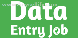 Data Form Filling Project - Bulk & Single-System Data Entry