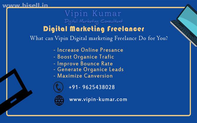 Digital marketing consultant in India