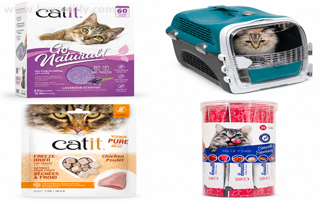 Discover Premium Cat Care Products from Catit