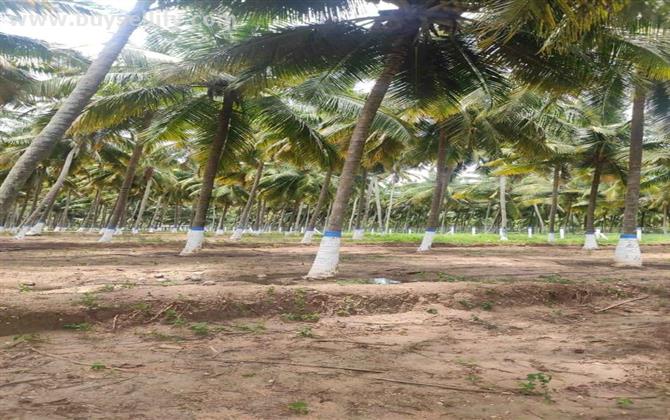 DTCP APPROVED PLOTS FOR SALE IN COIMBATORE!!!!