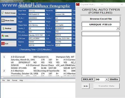 Excel conversion services for medical insurance form data entry projects