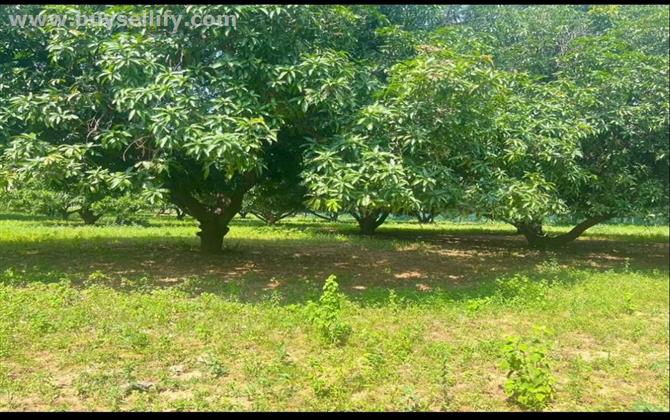 Land Properties