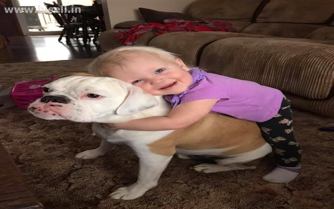 Nanny ,Gardener ,Caregiver , cook , Driver, house Keeping Needed