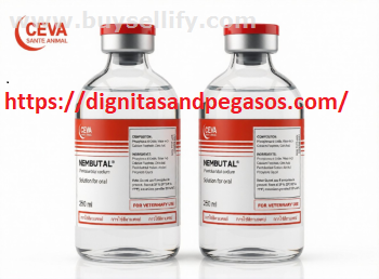 Nembutal for Sale in Spain | Buy Pentobarbital in Spain