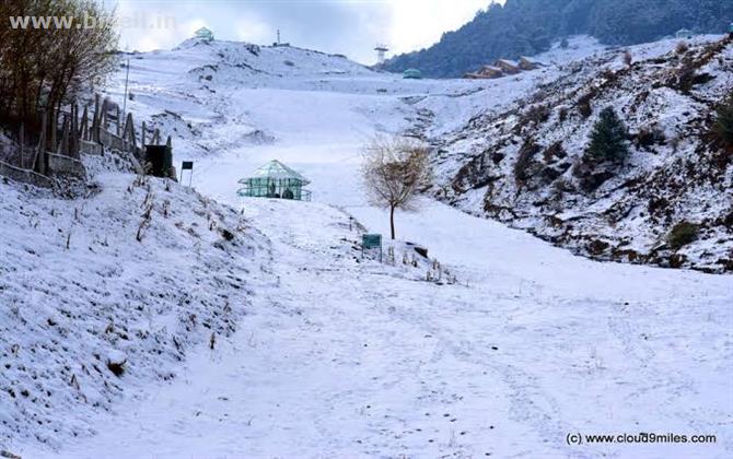 TRIP TO DHANAULTI & MUSSOORIE  Twego Toursim