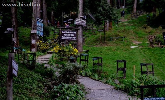 TRIP TO DHANAULTI & MUSSOORIE  Twego Toursim