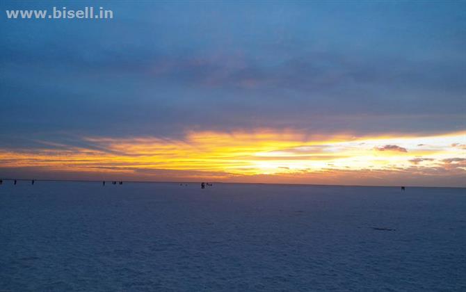 White Rann of Kutch | White Desert Festival - Kutch Rann Resort