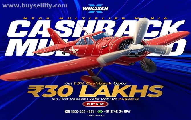 Winexch – Your Daily Dose of Fun