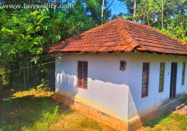 Emergency Sale – Land & House in Oorakam, Piravom