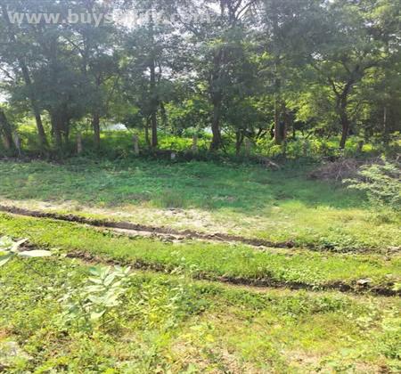 North-Facing Residential Plot for Sale in Thiruppalai, Madurai