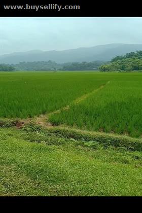 Real Estate Properties, Land Properties